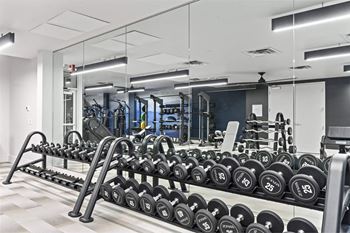 Gym with row of dumbbells
